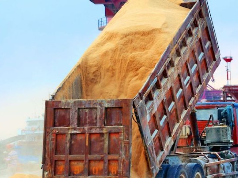 Hurricane snarls send U.S. soybean shipments plummeting