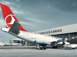 https://www.ajot.com/images/uploads/article/turkish-cargo-tarmac-605.jpg