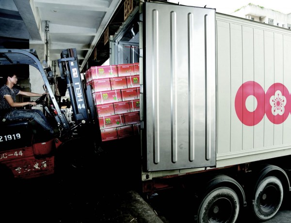 Fruit being loaded onto an OOCL container.