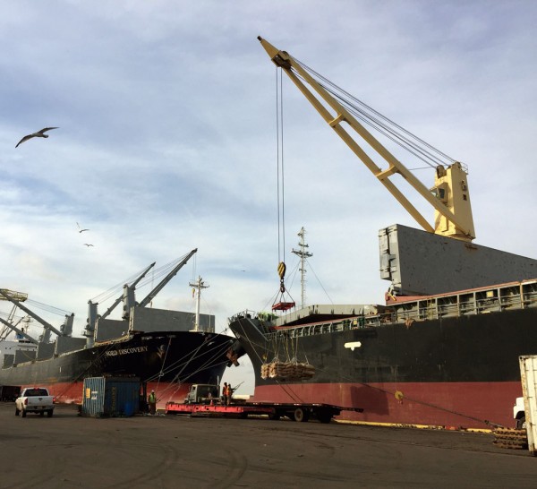 In Camden, New Jersey, South Jersey Port Corp.’s Joseph A. Balzano Marine Terminal is a hub for imports of cocoa beans, forest products and other breakbulk goods.
