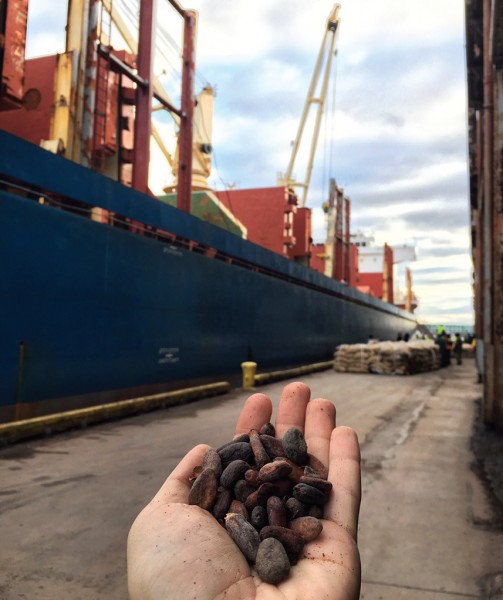 Cocoa beans arriving from West Africa are handled with great efficiency.