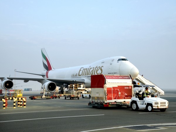 Emirates SkyCargo brings champion racehorses to the Dubai World Cup