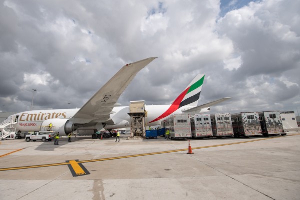Emirates SkyCargo flew close to 100 horses to Miami