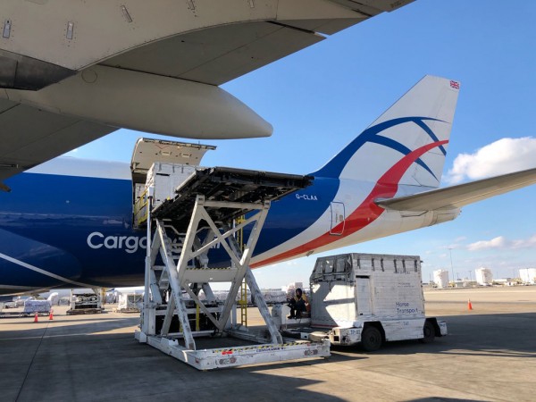 Loading the racehorses onto CargoLogicAir's Boeing 747 freighter