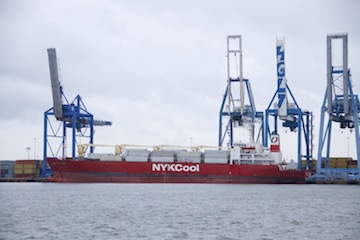The NYKCool vessel M/V Belgian Reefer is loaded with refrigerated cargo containers while docked at the Packer Avenue Marine Terminal in South Philadelphia yesterday. The vessel is currently on its first journey south to Chile to begin the 2013-2014 winter fruit season. 