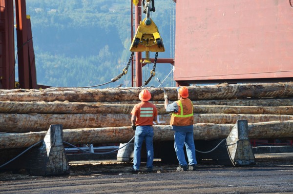 Logs being prepared for export at the Port of Longview, WA