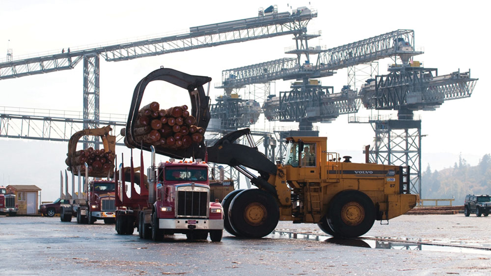 Logs being loaded onto trucks at the Port of Longview, WA