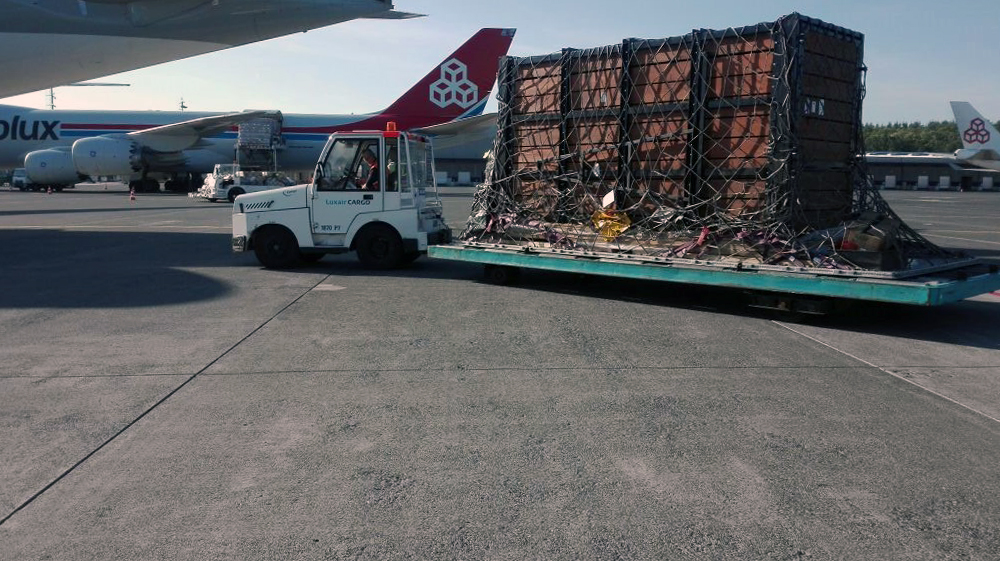 Rhino transported on tarmac to aircraft