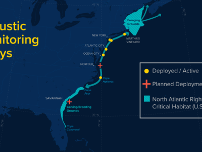 https://www.ajot.com/images/uploads/article/CMA_CGM_map.png