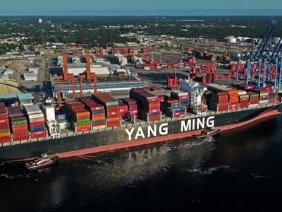 https://www.ajot.com/images/uploads/article/Yang_Ming_Warranty_at_the_Port_of_Wilmington_copy_2.jpg