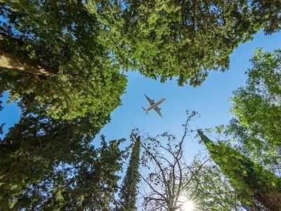 https://www.ajot.com/images/uploads/article/plane-flying-above-trees_copy.jpg