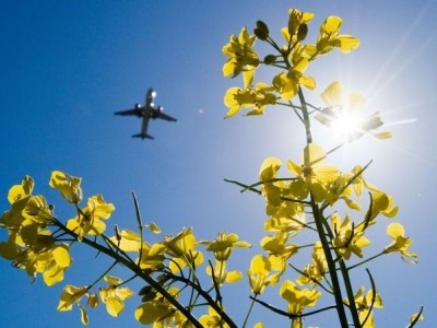 Airlines’ chief pleads for more green fuel to save air travel