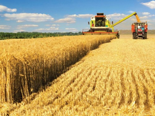 https://www.ajot.com/images/uploads/article/703-canadian-grain-harvest.jpg