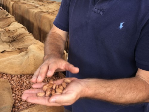 https://www.ajot.com/images/uploads/article/705-handful-cacao.jpg