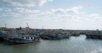 https://www.ajot.com/images/uploads/article/Fishing-boats-at-Burullus-fishing-port.jpg
