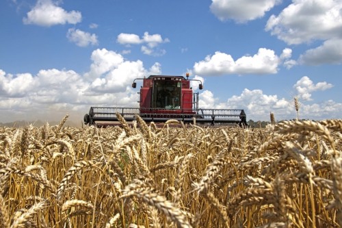 https://www.ajot.com/images/uploads/article/STOCK_wheatharvest5.jpg
