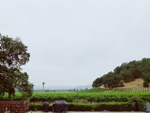 https://www.ajot.com/images/uploads/article/california-rain-grapes.jpg