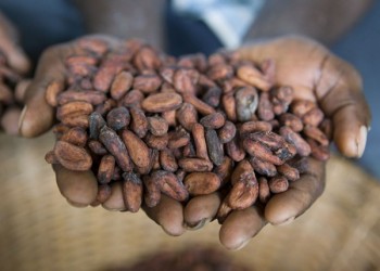 https://www.ajot.com/images/uploads/article/cargil-cocoa-beans-na3051337.jpg