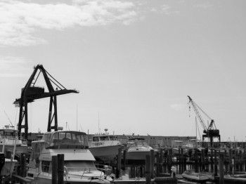 Port of Morehead City Container Crane