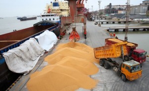 China’s Soybean Imports Surged in May on Buying From Brazil
