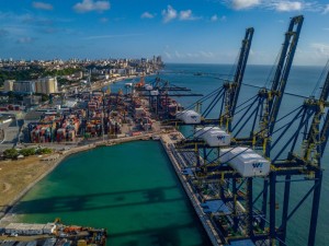 Salvador Container Terminal reports a 304% rise in fruit exports