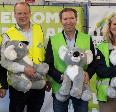 Air France KLM Martinair Cargo transports koalas to Ouwehands Zoo in the Netherlands