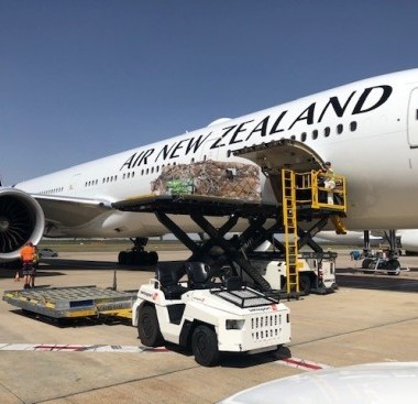 https://www.ajot.com/images/uploads/article/Air_NZ_Cargo_1.jpg