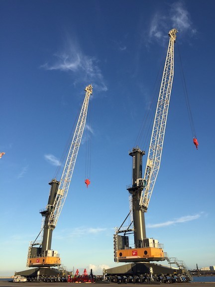 Liebherr mobile harbour cranes play a decisive role in the successful export of citrus fruits