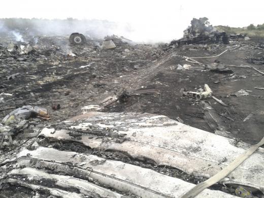 A general view shows the site of a Malaysia Airlines Boeing 777 plane crash in the settlement of Grabovo in the Donetsk region, July 17, 2014. REUTERS/Maxim Zmeyev
