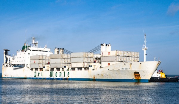 A Del Monte vessel arrives at Port Manatee, which has achieved several cargo records in the first half of its fiscal year.