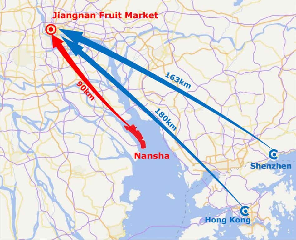 Port of Nansha and its new cold chain logistics hub are just 90 kilometers (55 miles) from the Jiangnan Fruit Market in Guangzhou (formerly Canton) – twice as close as Hong Kong. 