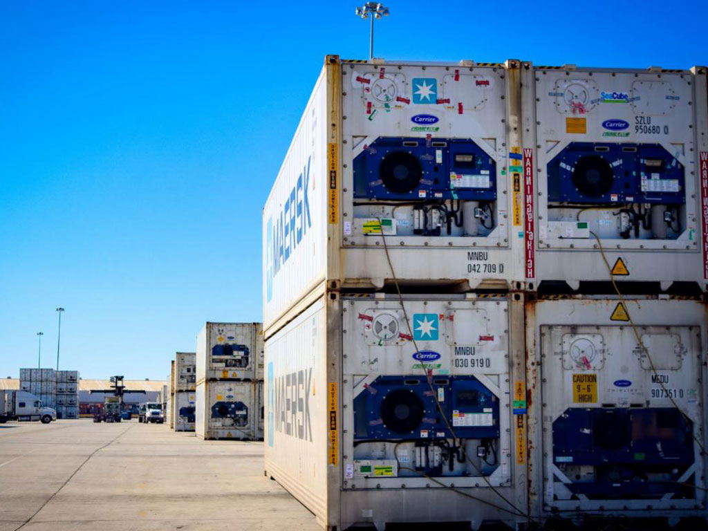 SC Ports has invested in its refrigerated container service areas to provide ample capacity for customers and to efficiently handle the growing number of fresh produce imports coming into the Southeast. (Photo/SCPA/English Purcell)