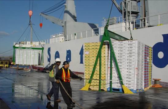 hilean fruit ship discharge operations at the Port of Wilmington, Delaware